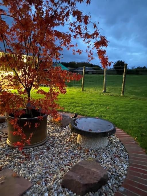 Courtyard Cottage Lockerbie Exterior photo