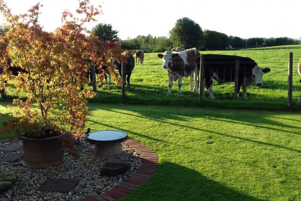 Courtyard Cottage Lockerbie Exterior photo